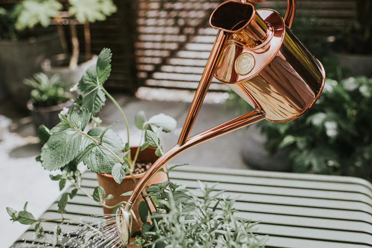 Copper Rowley Ripple & Brass Smethwick Spritzer - Image 4