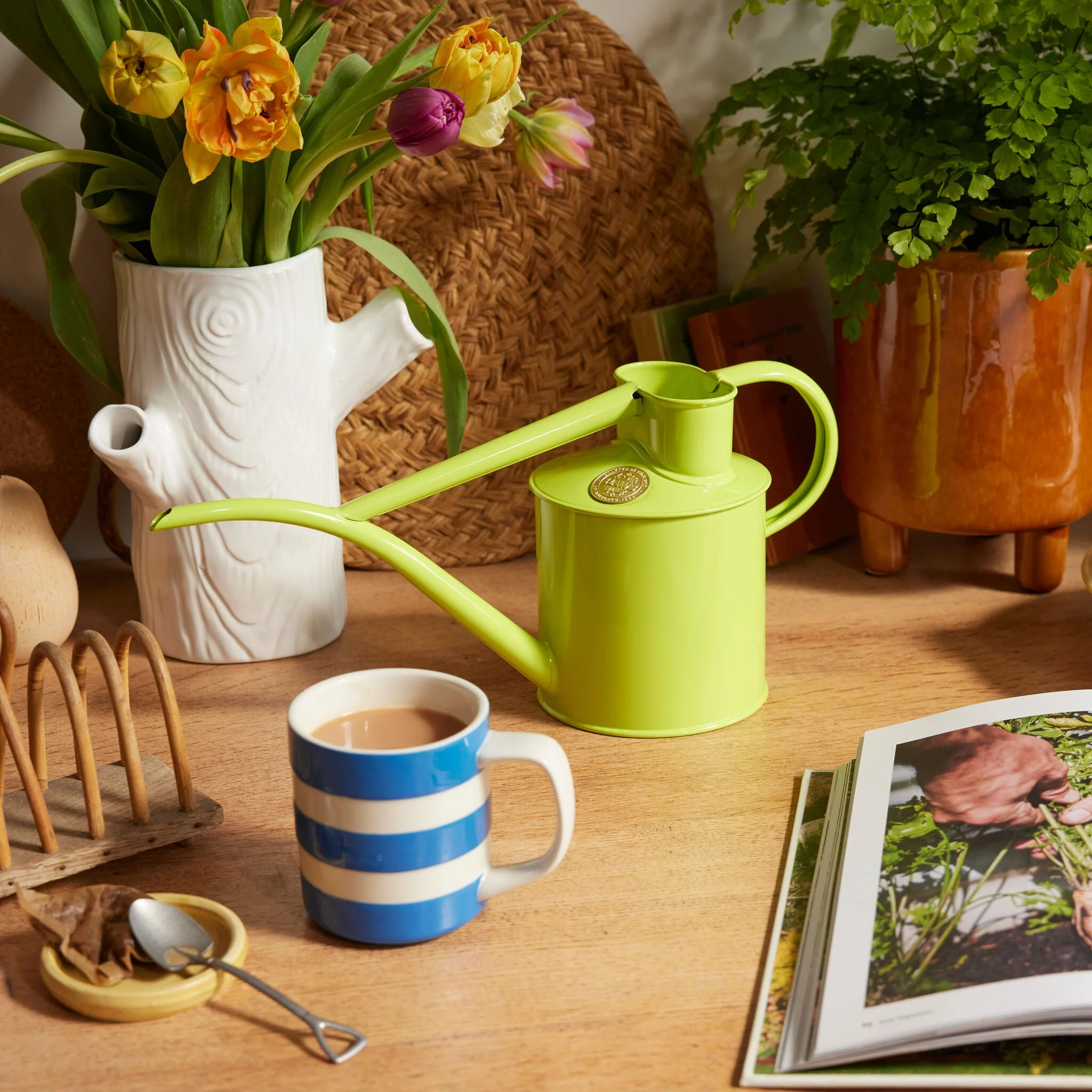 The Fazeley Flow - Houseplant Set - Apple Green & Brass - Two Pint - Image 3