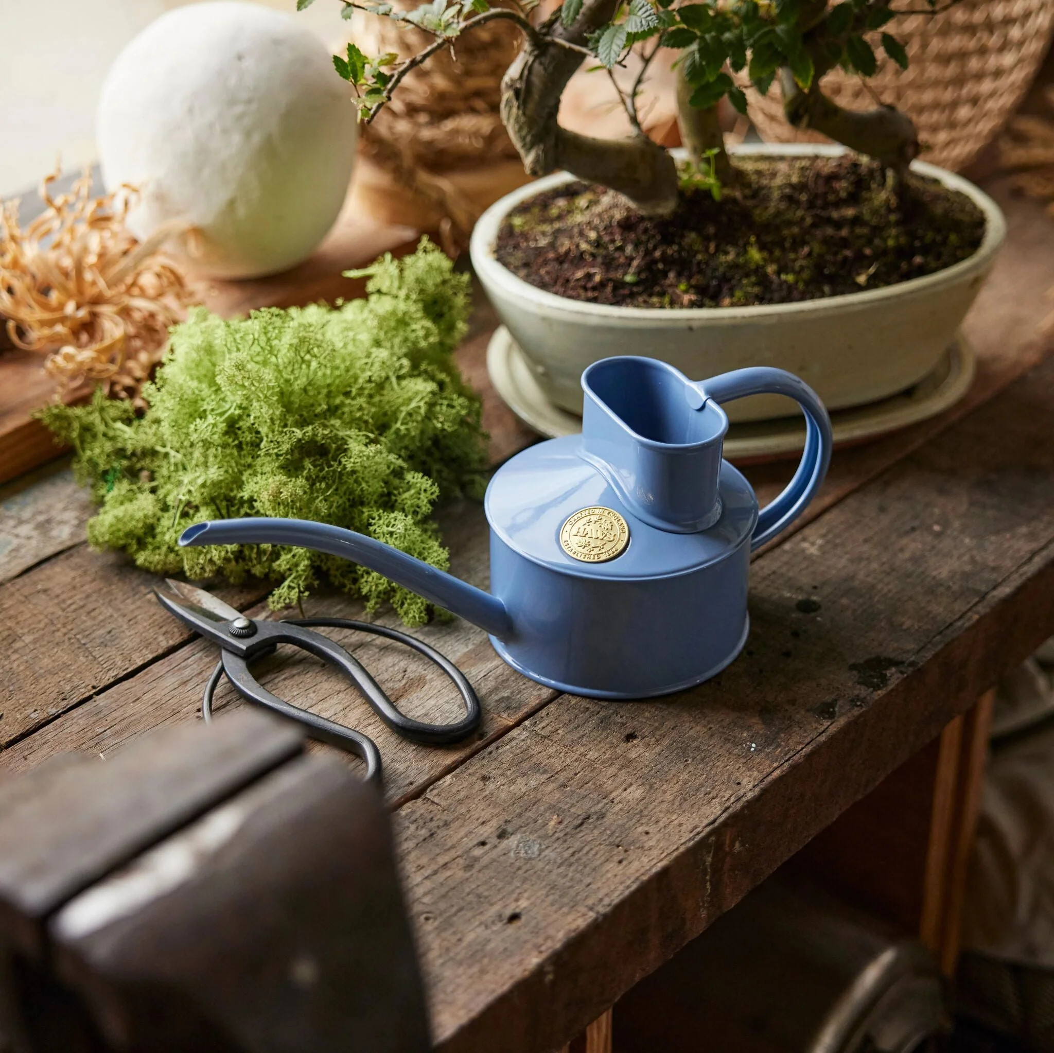 The Fazeley Flow - Houseplant Set - Bluebell Meadow & Brass - One Pint - Image 2