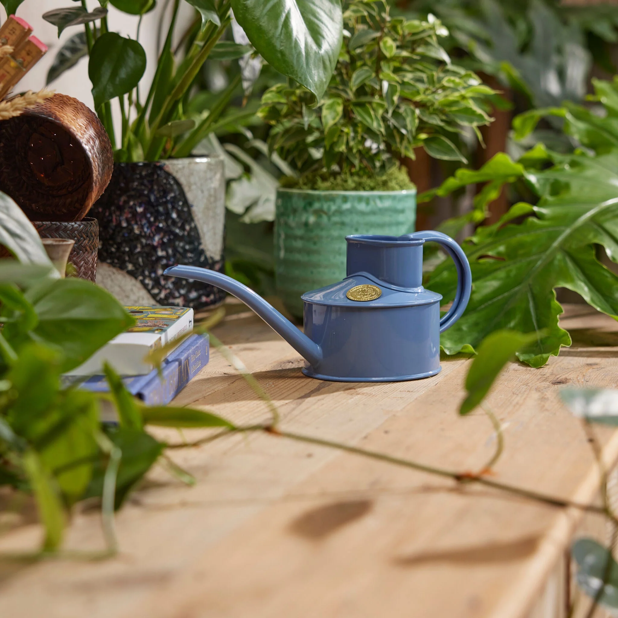 The Fazeley Flow - Houseplant Set - Bluebell Meadow & Copper - One Pint - Image 2