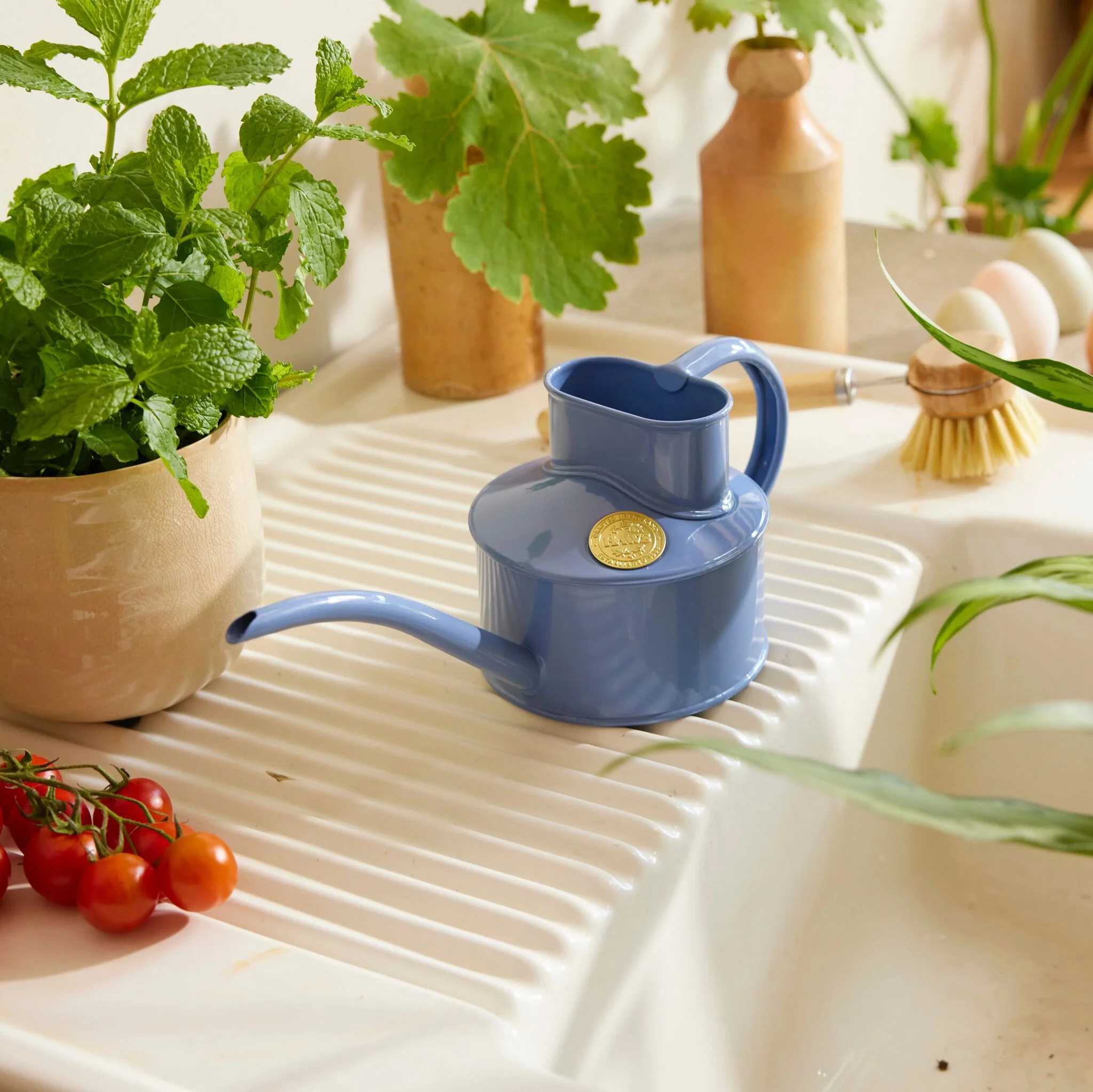 The Fazeley Flow - Houseplant Set - Bluebell Meadow & Copper - One Pint - Image 3