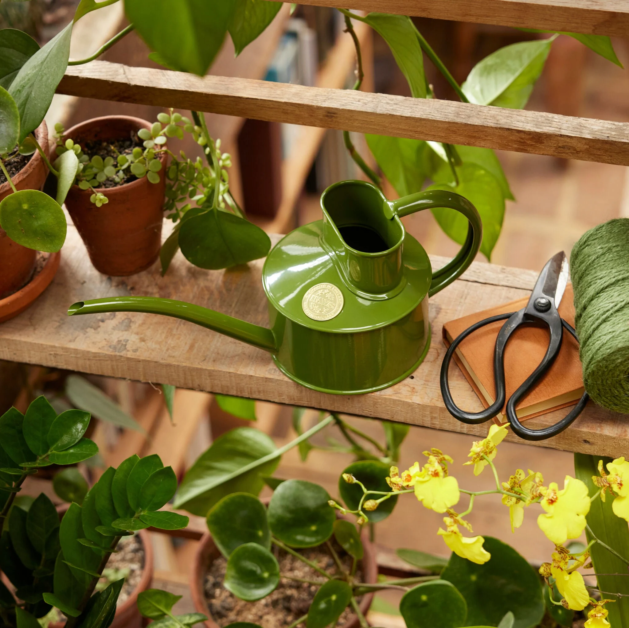 The Fazeley Flow - Houseplant Set - Fern Green & Brass - One Pint - Image 3