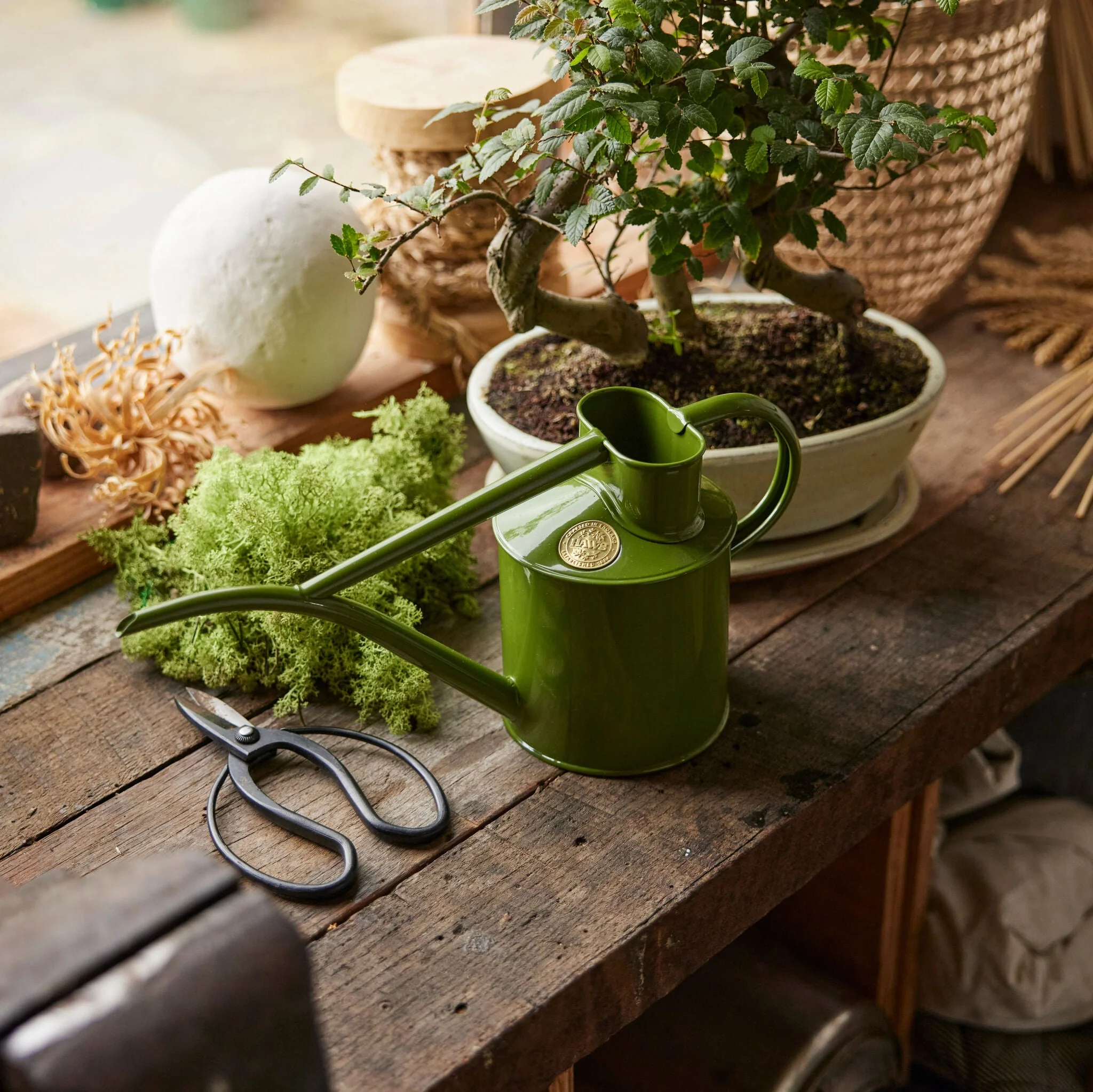 The Fazeley Flow - Houseplant Set - Fern Green & Brass - Two Pint - Image 2