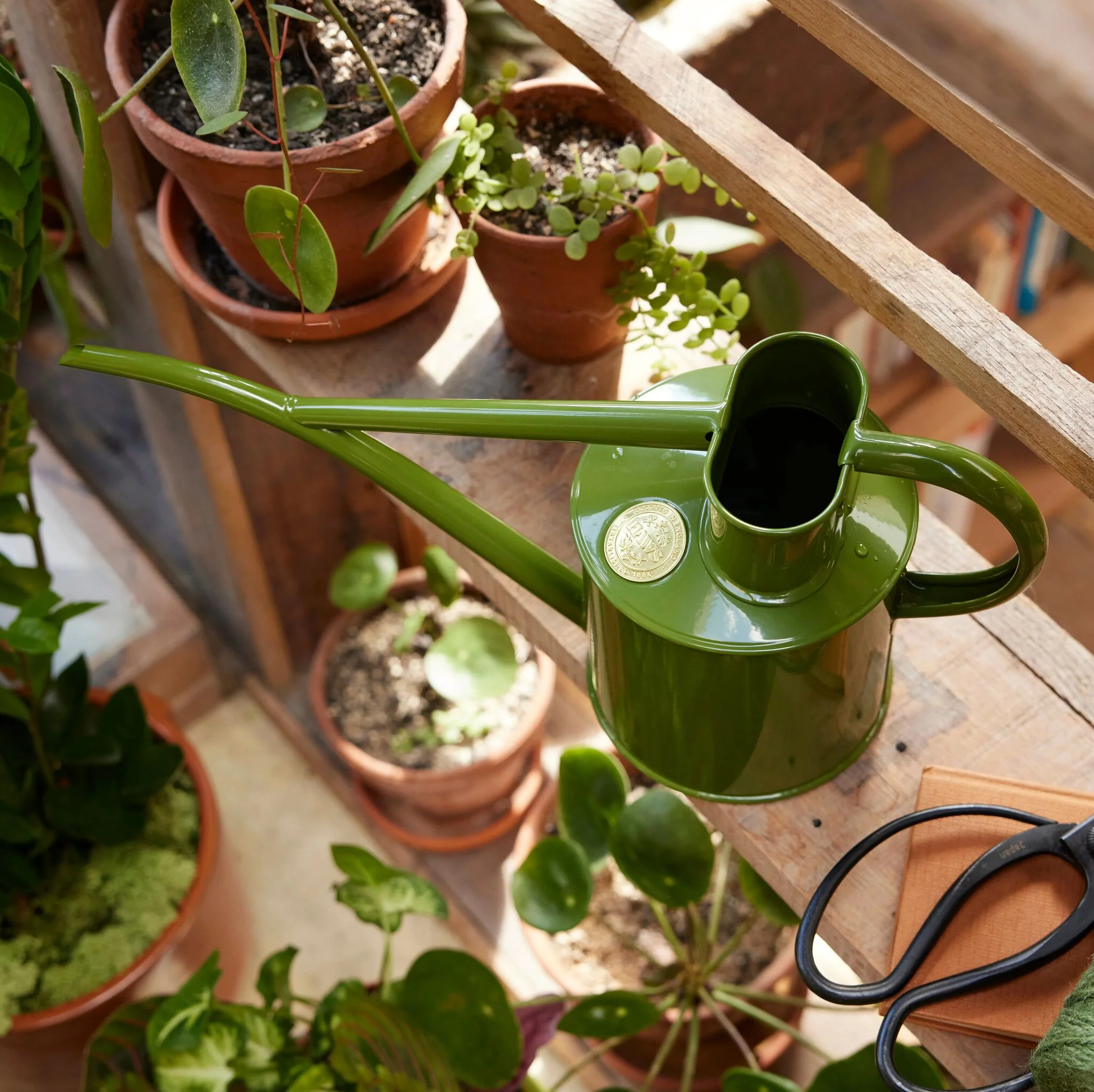The Fazeley Flow - Houseplant Set - Fern Green & Brass - Two Pint - Image 3