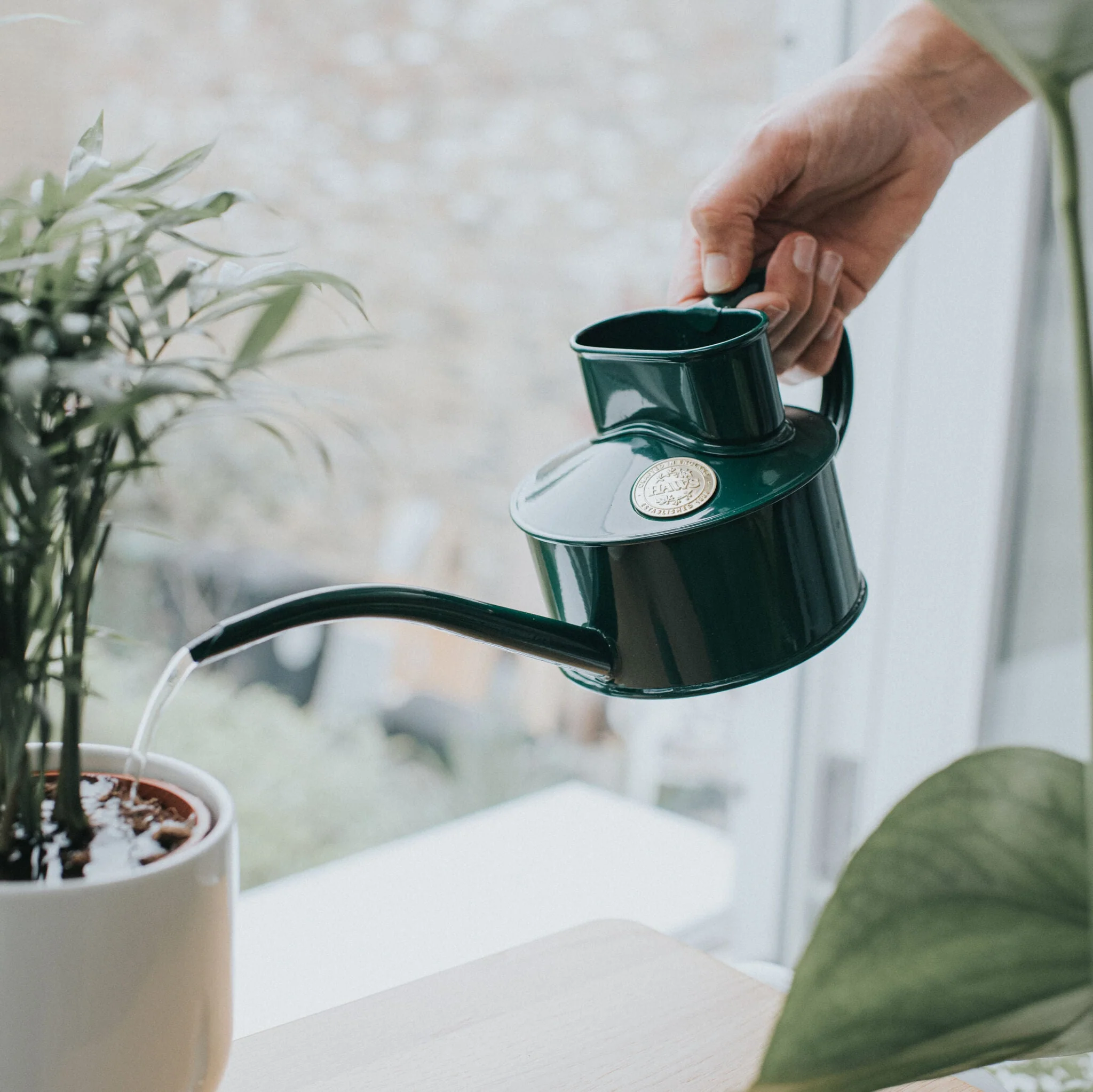 The Fazeley Flow - Houseplant Set - Green & Copper - One Pint - Image 2