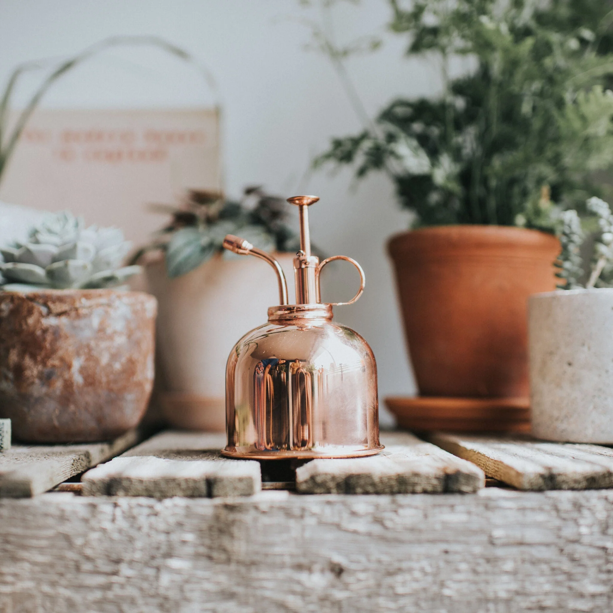 The Fazeley Flow - Houseplant Set - Green & Copper - One Pint - Image 4