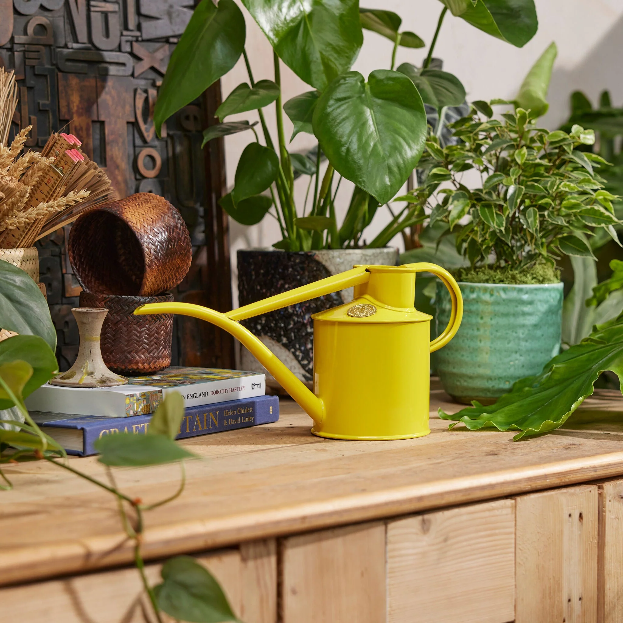 The Fazeley Flow - Houseplant Set - Lotus Yellow & Copper - Two Pint - Image 2