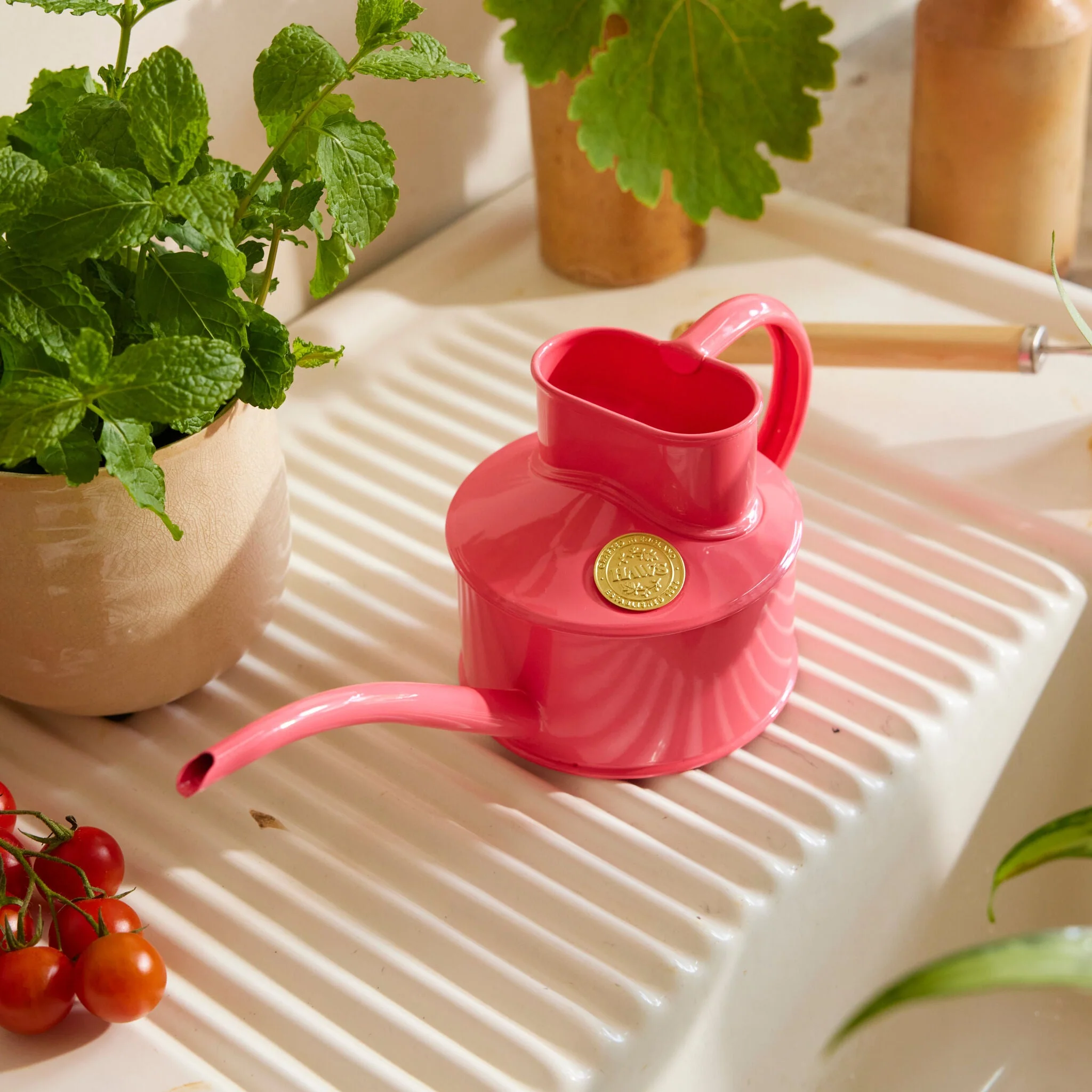 The Fazeley Flow - Houseplant Set - Peppercorn Pink & Copper - One Pint - Image 2