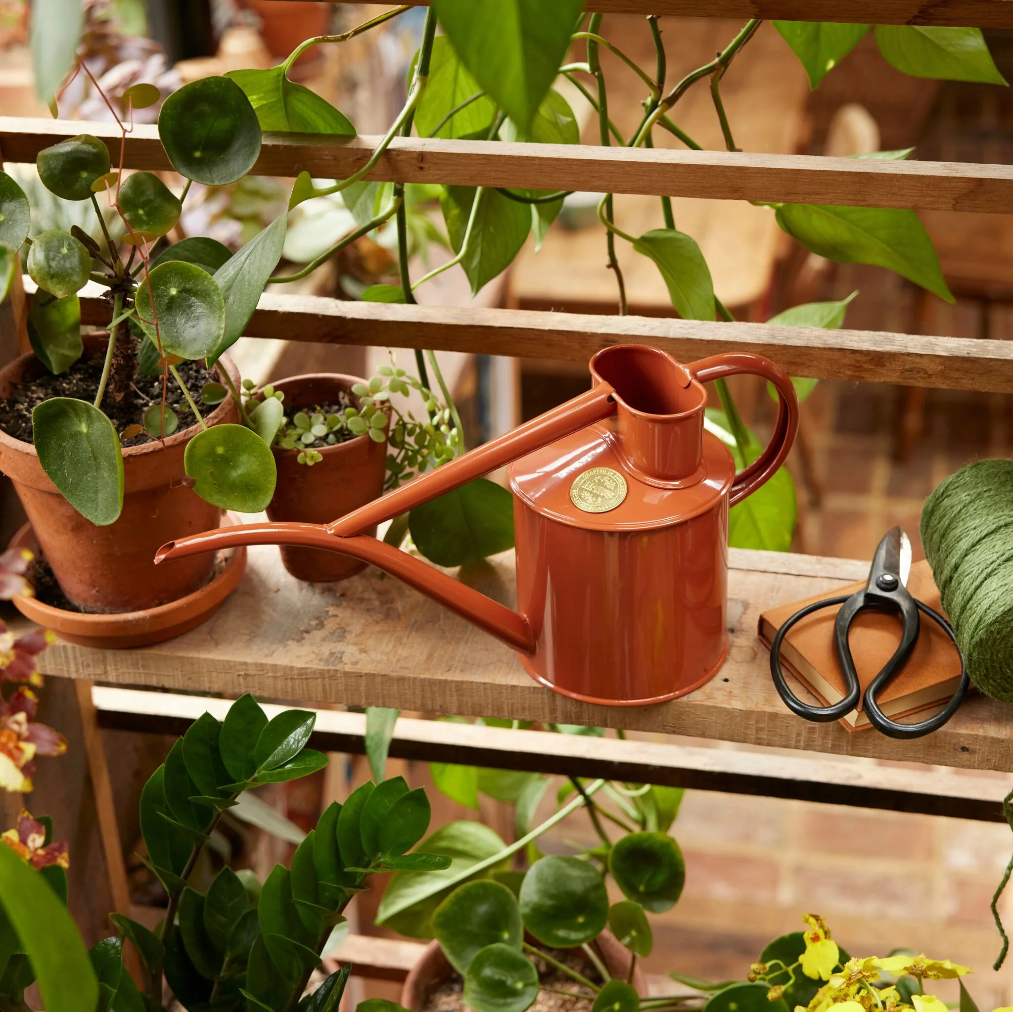 The Fazeley Flow - Houseplant Set - Terracotta Orange & Brass - Two Pint - Image 3