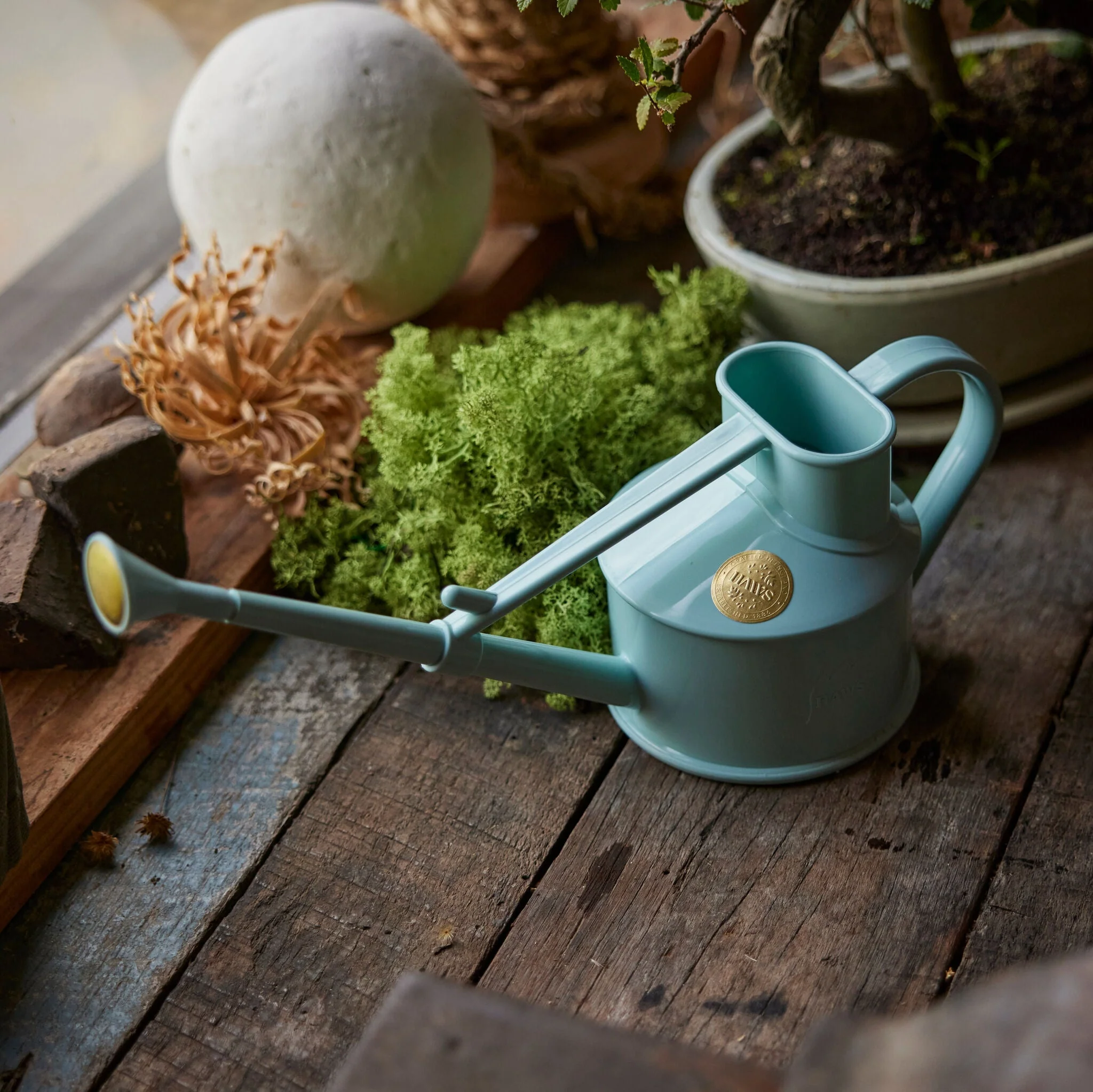 The Langley Sprinkler Duck Egg Blue  - One Pint - Image 3