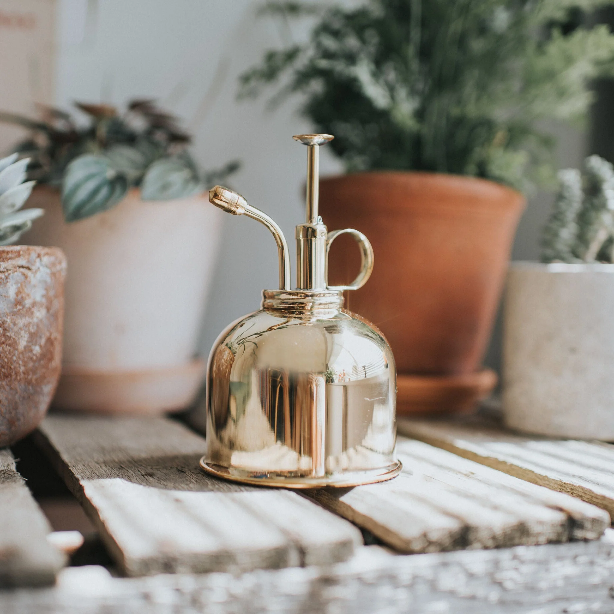 The Rowley Ripple - Houseplant Set - Copper - Two Pint - Image 3