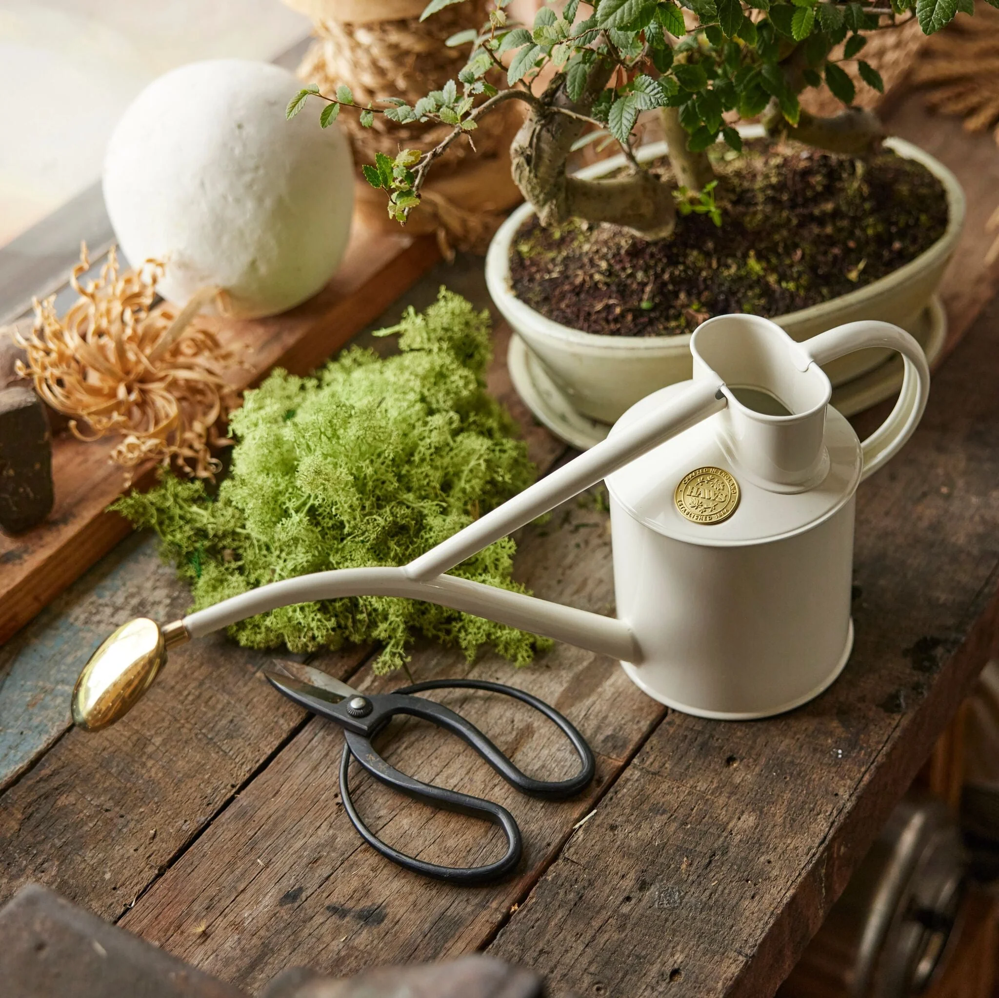 The Rowley Ripple - Houseplant Set - White Granite & Copper - Two Pint - Image 2
